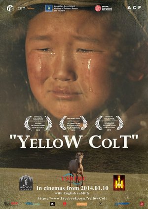 “Шарга даага” энэ сарын 10-наас гарч эхэлнэ